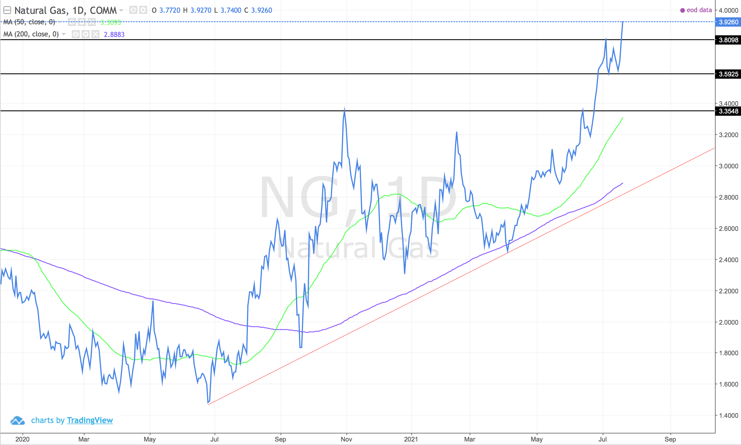 does nvda stock pay dividends